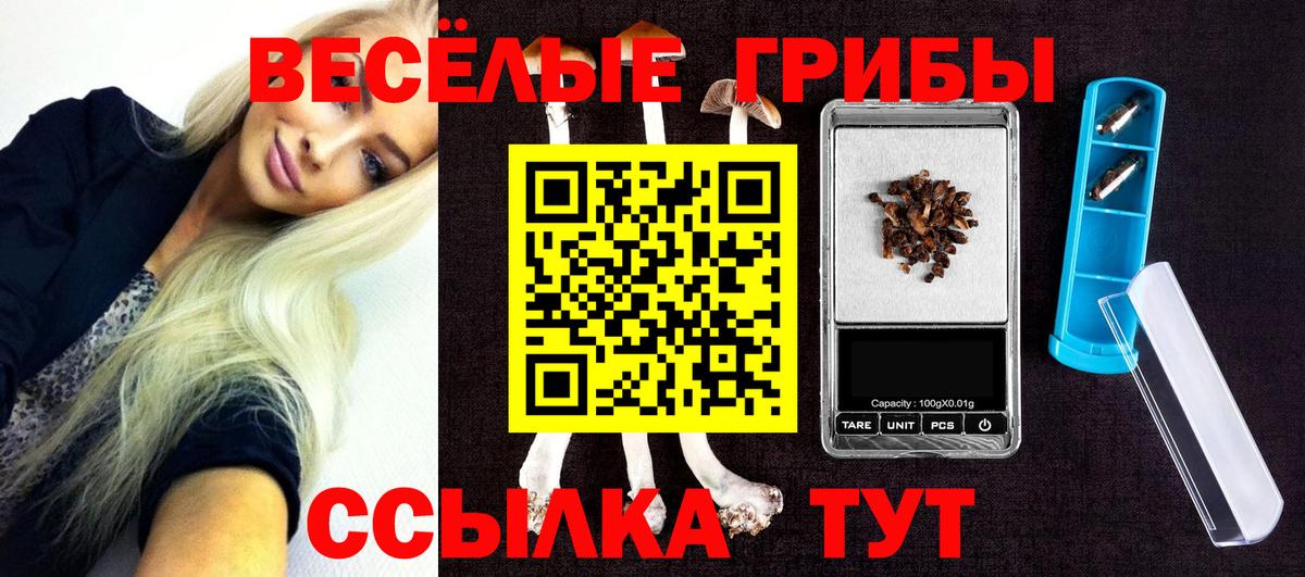 Псилоцибиновые грибы GOLDEN TEACHER Алексеевка
